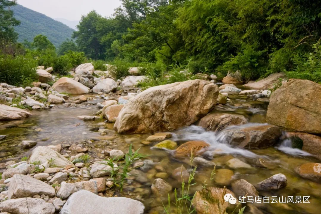 躲進小溪的夏天，娃追著小魚，我追著娃~