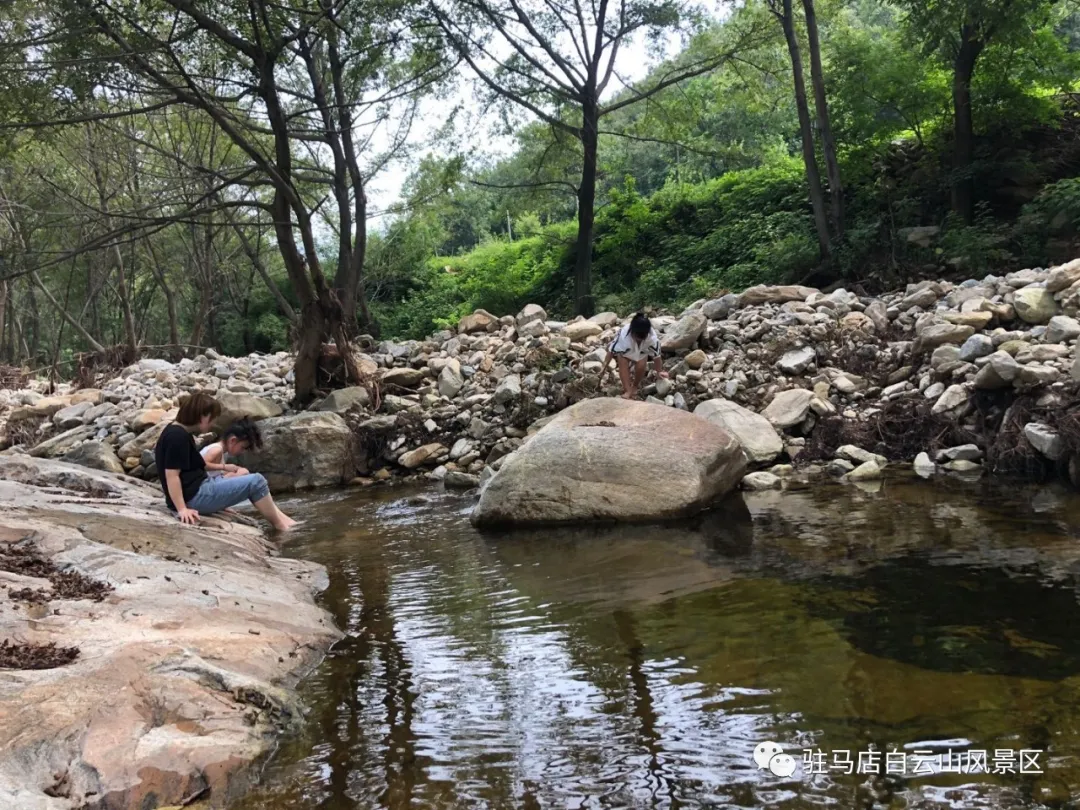 躲進小溪的夏天，娃追著小魚，我追著娃~