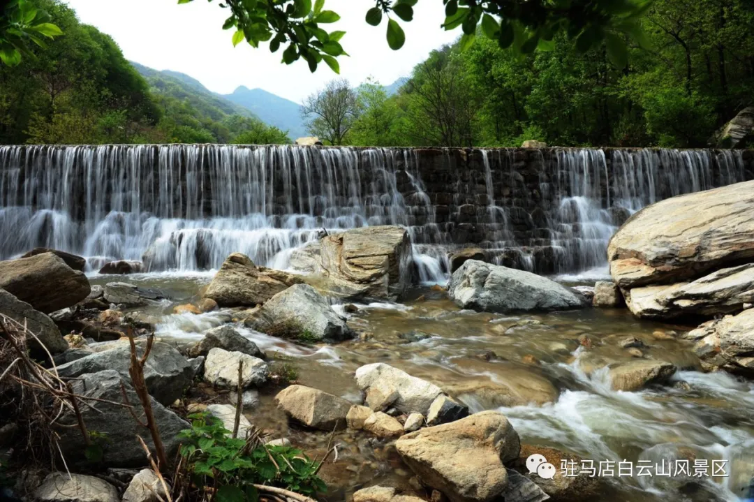 躲進小溪的夏天，娃追著小魚，我追著娃~