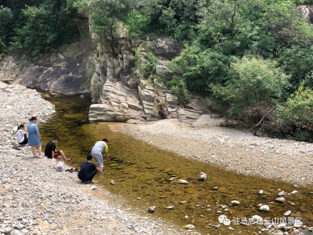 躲進小溪的夏天，娃追著小魚，我追著娃~