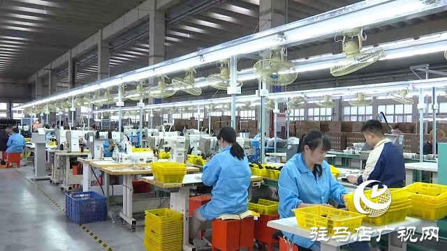 中原銀行駐馬店分行:金融活水潤民企 創新賦能促發