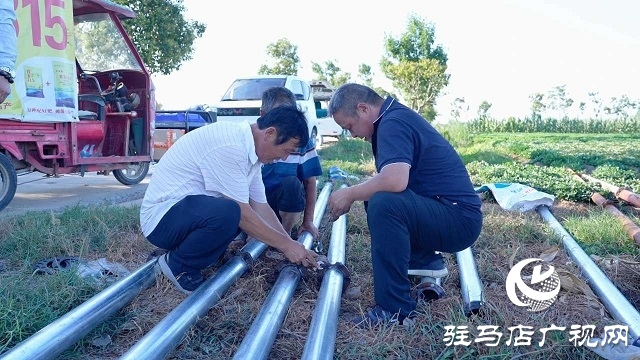  新蔡縣磚店鎮：干群同心抗旱情 全力保秋穩增收