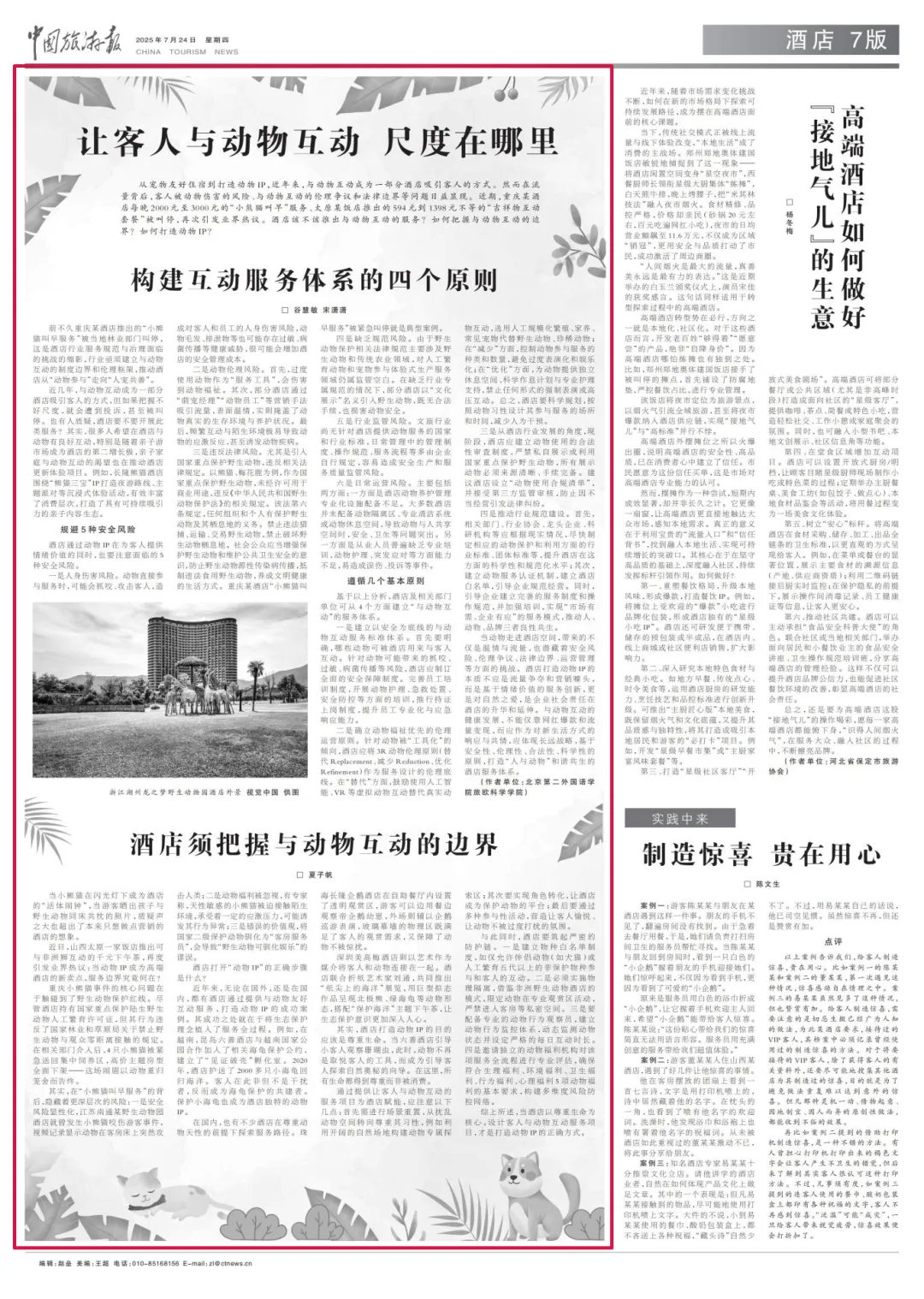 什么才是打造動物IP的正確方式？