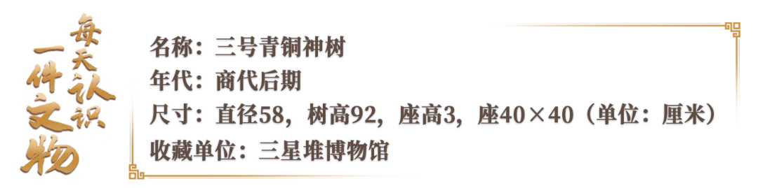 文博日歷丨神話故事里的“扶桑”樹找到了