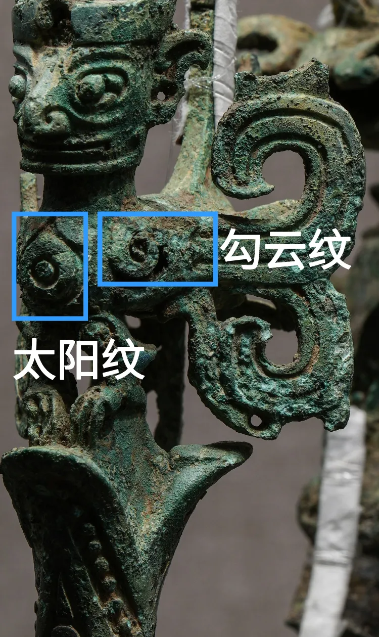 文博日歷丨神話故事里的“扶桑”樹找到了