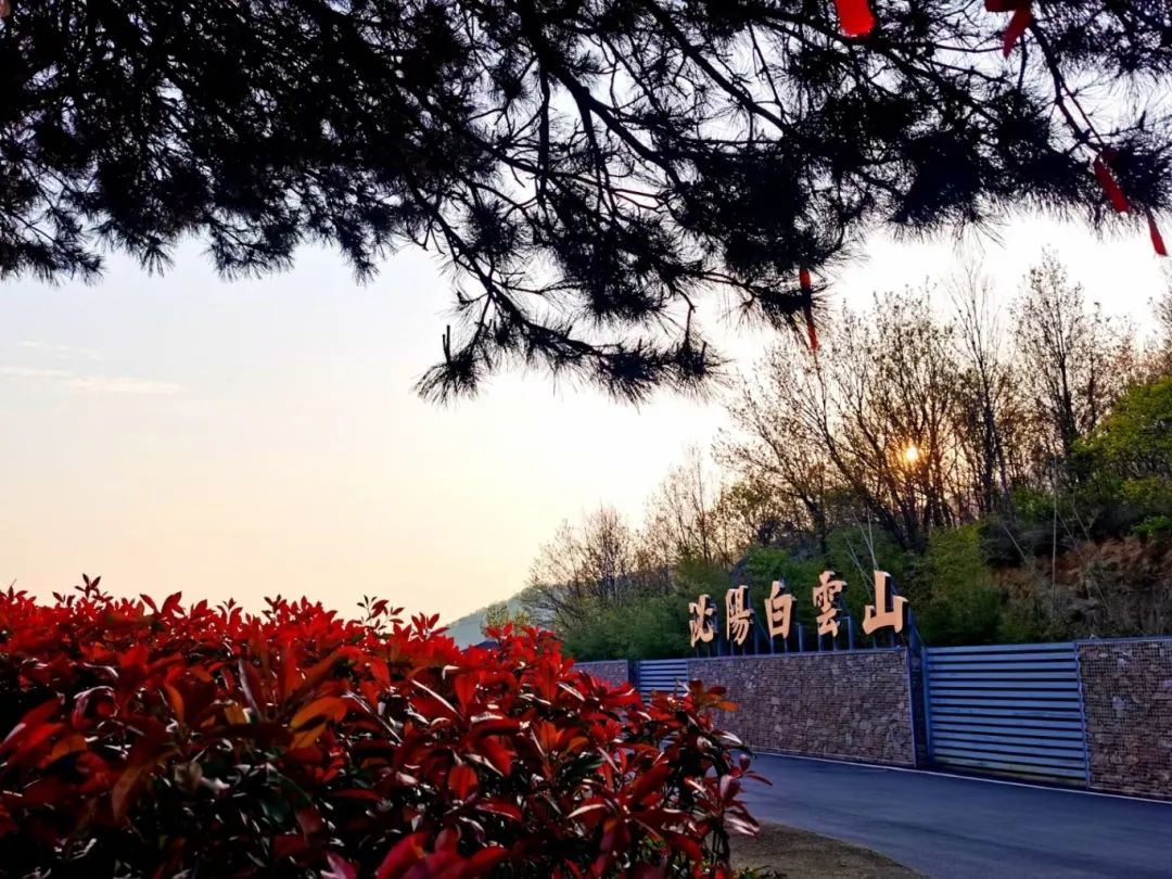 駐馬店觀月指南：邂逅 “火星伴月” 的浪漫之地