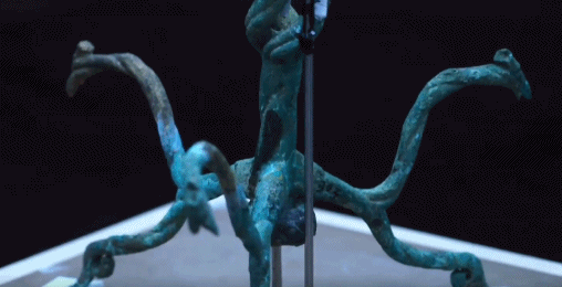 文博日歷丨神話故事里的“扶桑”樹找到了