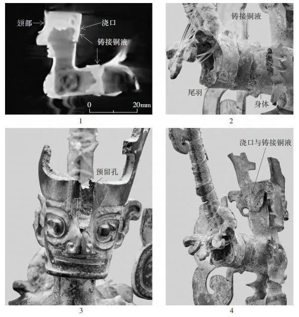 文博日歷丨神話故事里的“扶桑”樹找到了