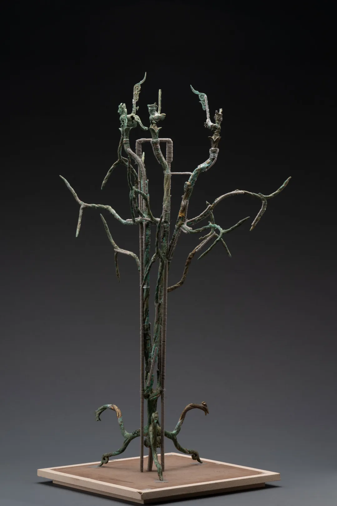 文博日歷丨神話故事里的“扶桑”樹找到了