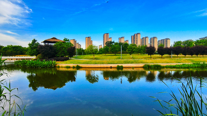 縣區動態 | 藍天白云碧水 綻放生態之美