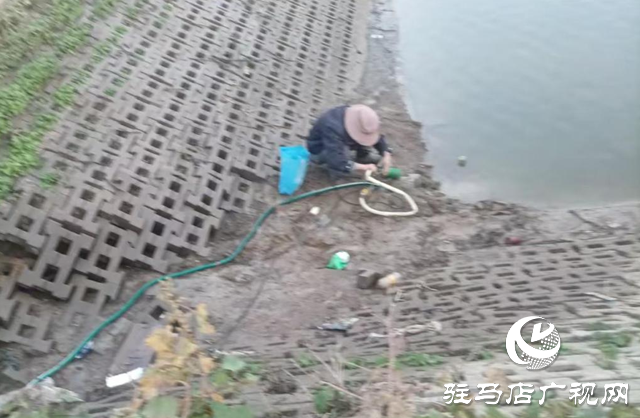 泌陽縣賒灣鎮：抗旱一線顯擔當 舍魚保田為豐收