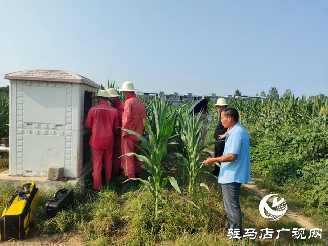 泌陽縣賒灣鎮：抗旱一線顯擔當 舍魚保田為豐收