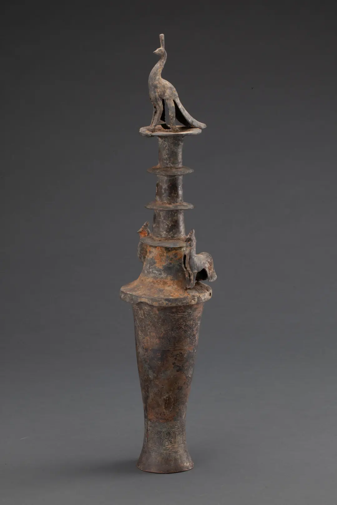 華美端莊，2000多年前它就是“百鳥之王”