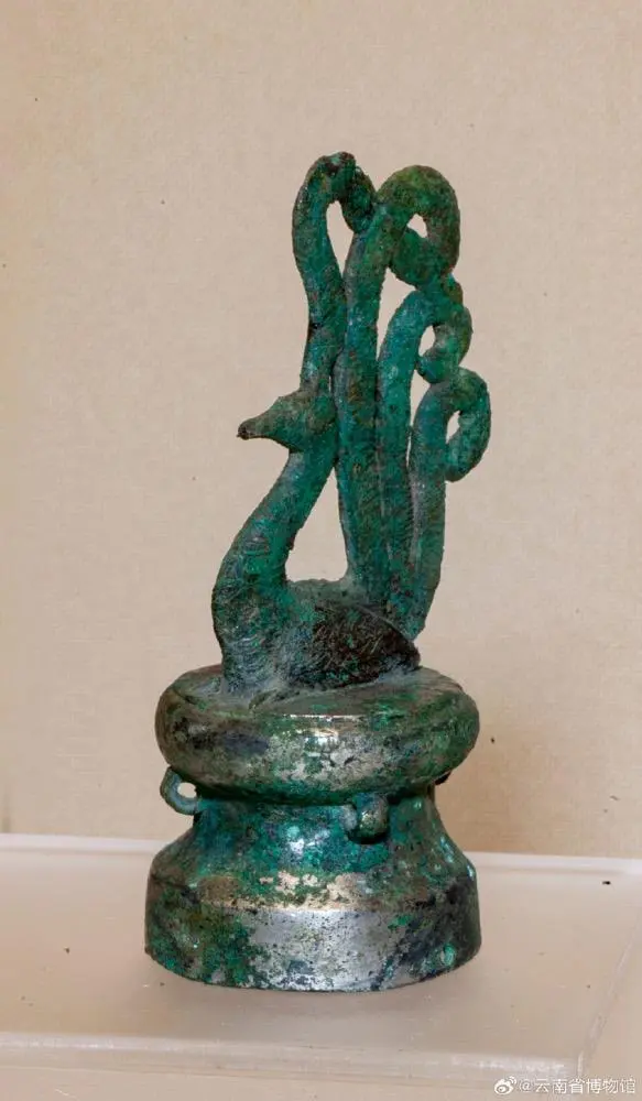 華美端莊，2000多年前它就是“百鳥之王”