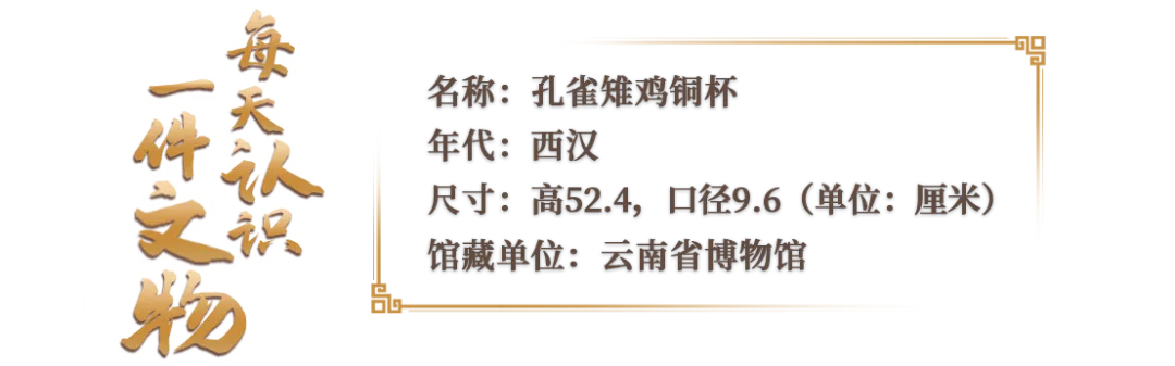 華美端莊，2000多年前它就是“百鳥之王”