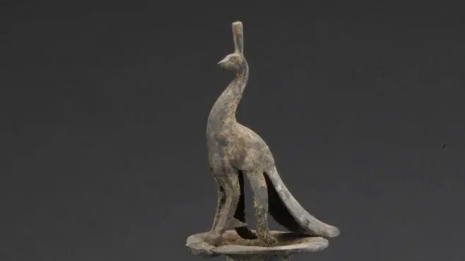 華美端莊，2000多年前它就是“百鳥之王”