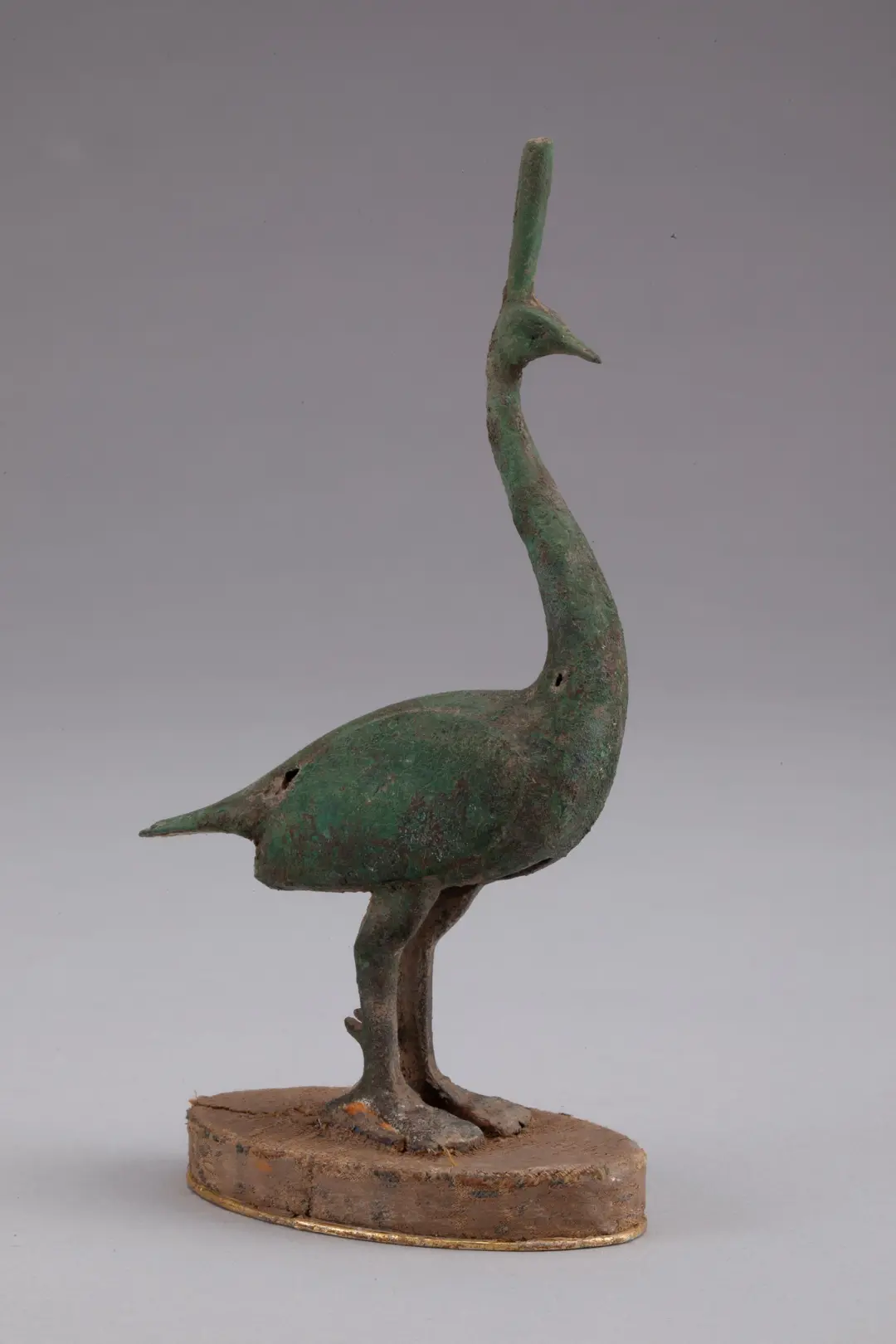 華美端莊，2000多年前它就是“百鳥之王”