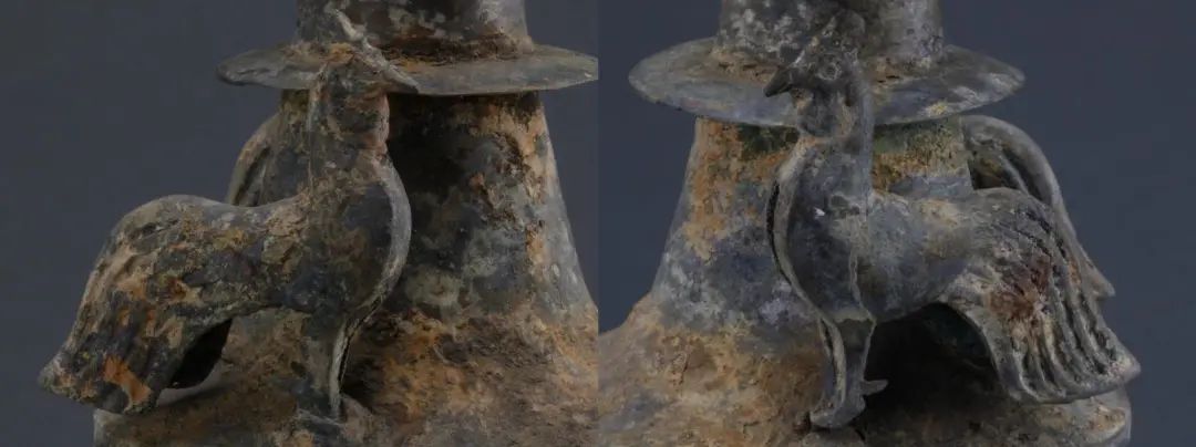 華美端莊，2000多年前它就是“百鳥之王”