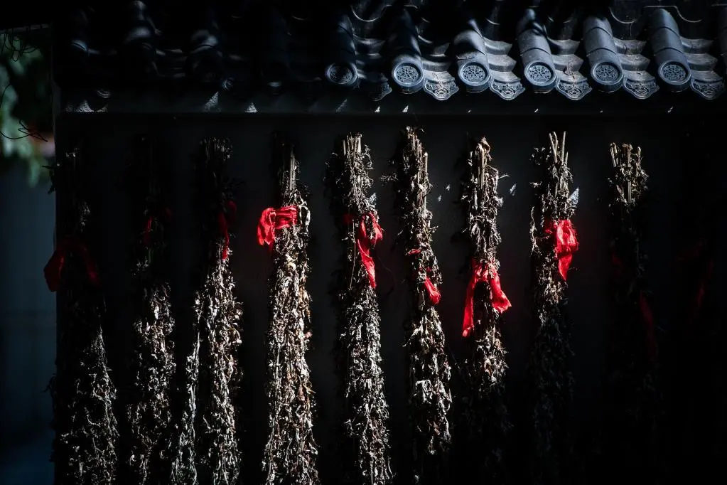 文博日歷丨正值三伏天，推薦你一件戰(zhàn)國(guó)“驅(qū)蚊好物”！