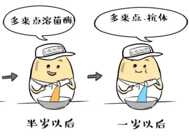 母乳喂養(yǎng)為生命早期健康 “保駕護(hù)航”