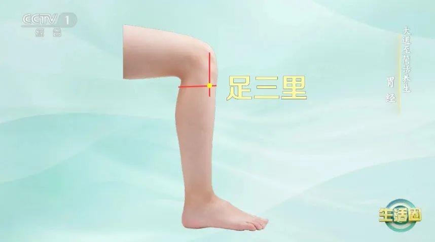 立秋如何養肺？怎么吃更健康？換季養生小貼士請查收