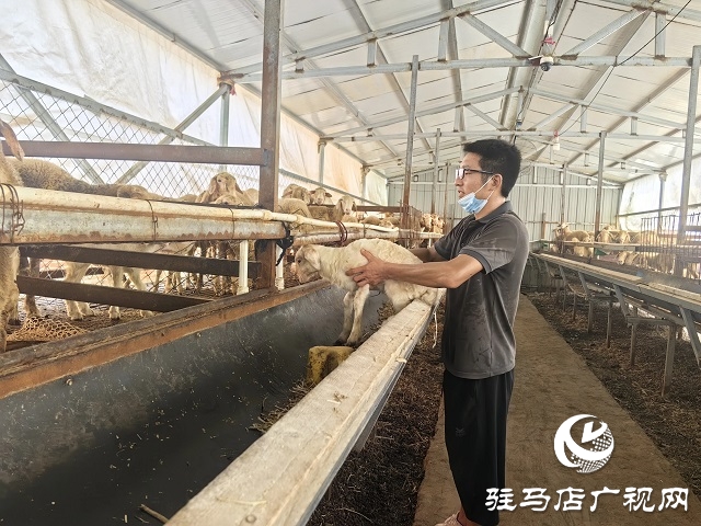 新蔡縣宋崗：斗高溫戰(zhàn)酷暑 穩(wěn)產(chǎn)業(yè)興鄉(xiāng)村