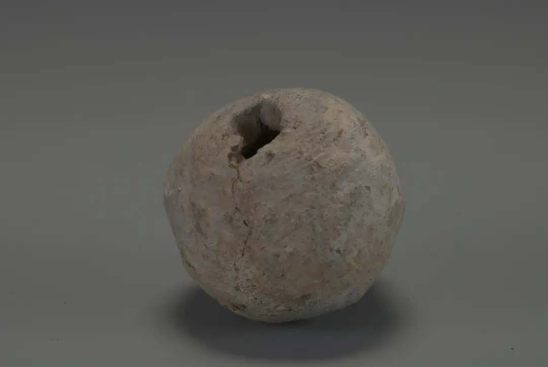 每日文物 | 原來你是這樣的“批把”（琵琶）