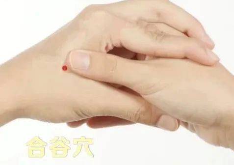 立秋如何養肺？怎么吃更健康？換季養生小貼士請查收