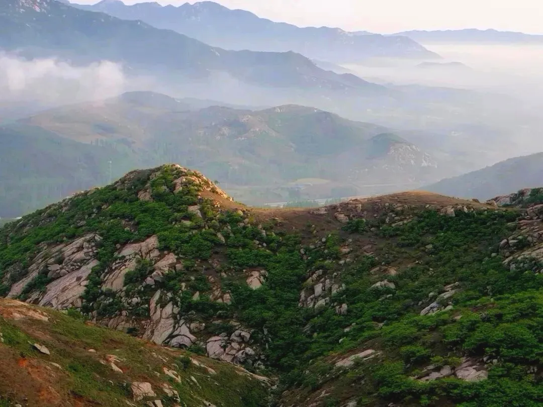 縣區動態 | 泌陽羅漢山云海日出美成壁紙