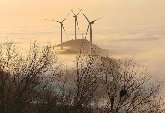 縣區動態 | 泌陽羅漢山云海日出美成壁紙