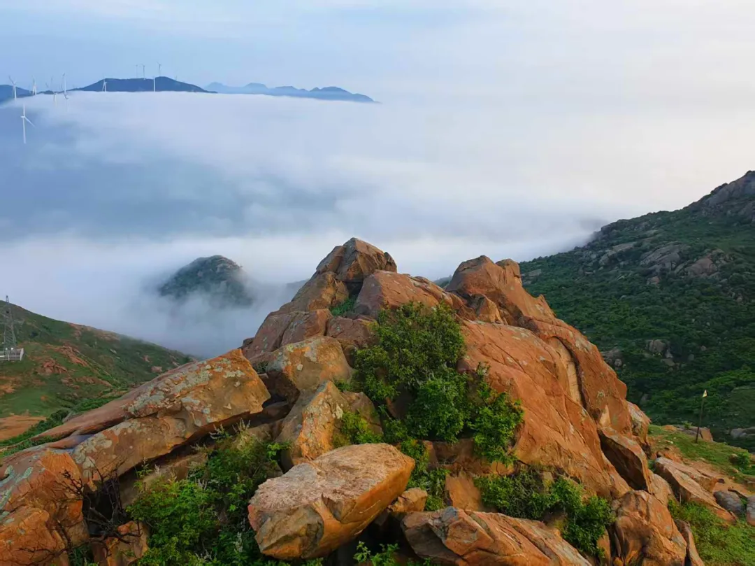 縣區動態 | 泌陽羅漢山云海日出美成壁紙