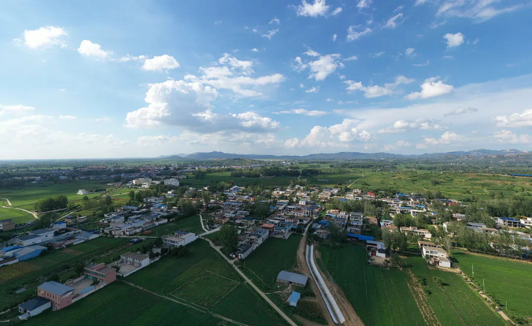 縣區動態 | 田園盛景 羊冊風光