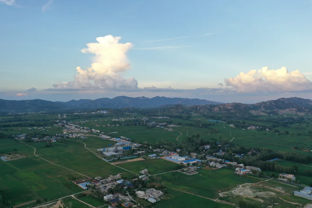 縣區動態 | 田園盛景 羊冊風光