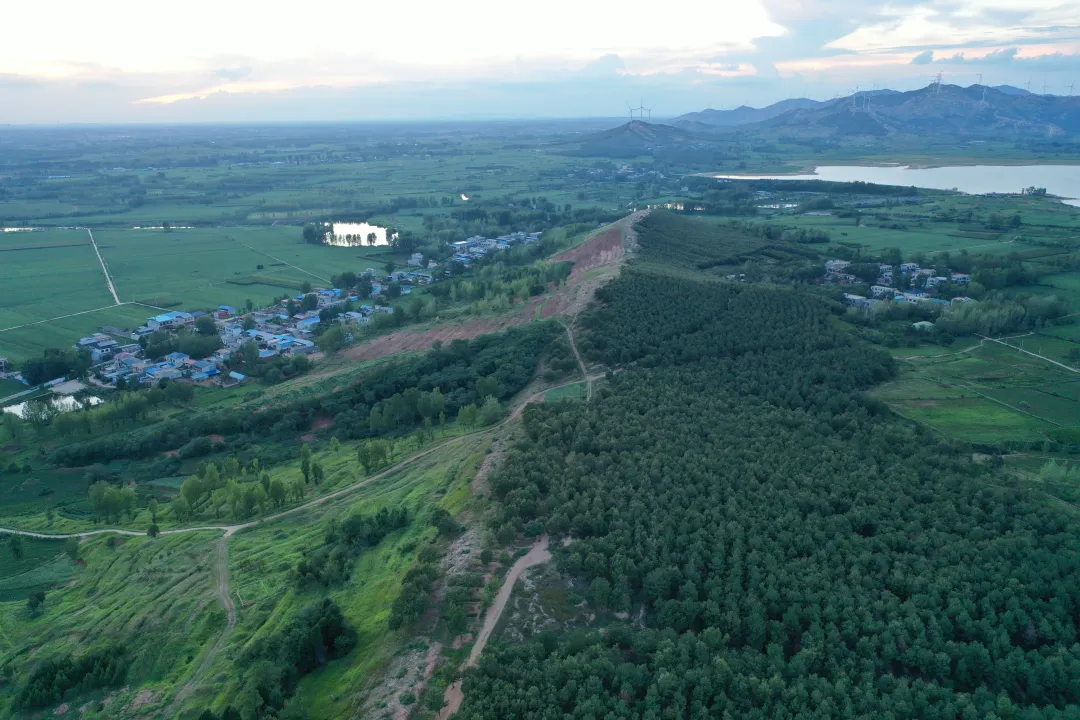 縣區動態 | 田園盛景 羊冊風光