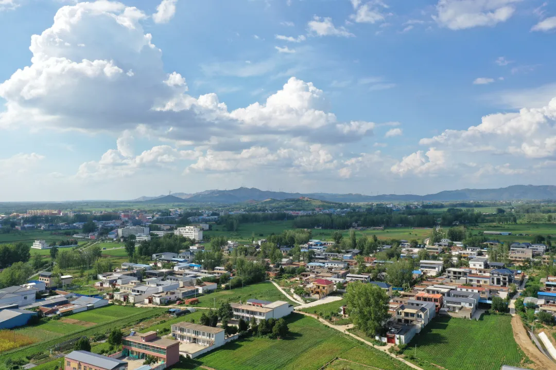 縣區動態 | 田園盛景 羊冊風光