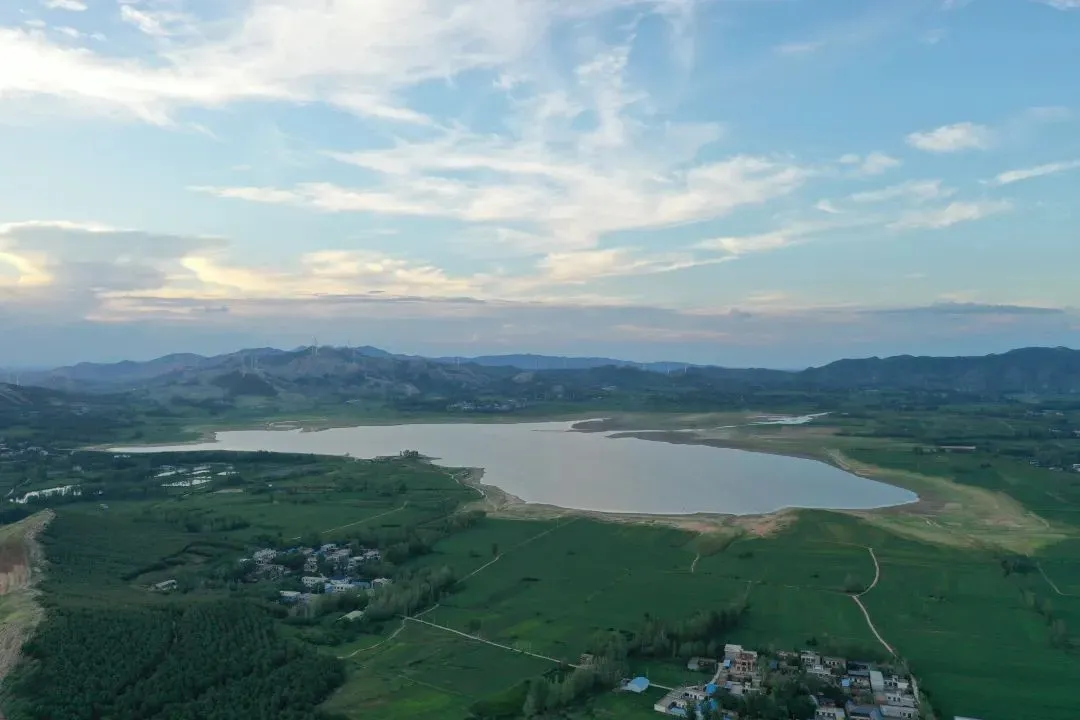 縣區動態 | 田園盛景 羊冊風光