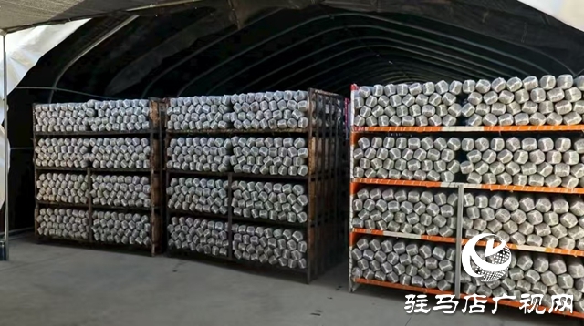 泌陽縣：菌棒生產助力食用菌產業多元化發展