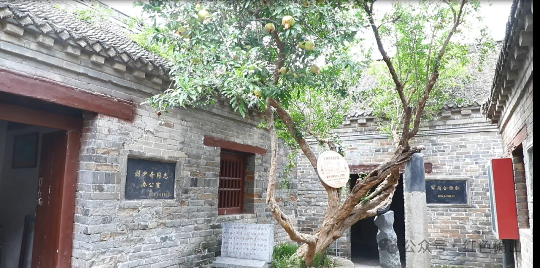 縣區動態 | 中原有個小延安