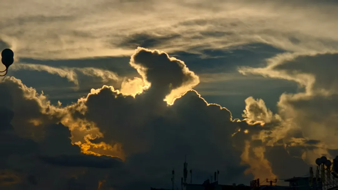 縣區動態 | 八月的泌陽