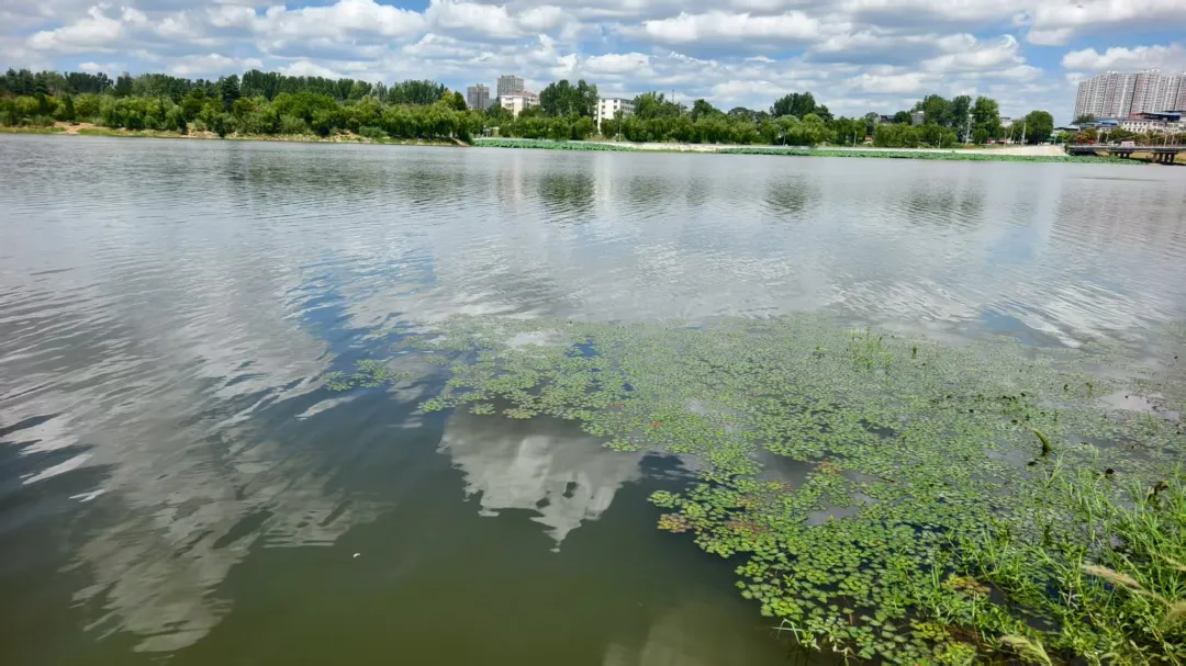 縣區動態 | 八月的泌陽