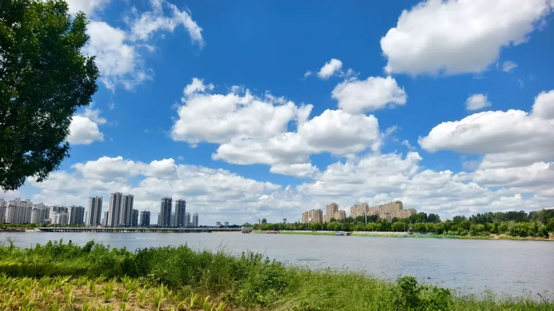 縣區動態 | 八月的泌陽