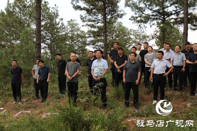 全省森林撫育經營現場推進會在泌陽縣召開