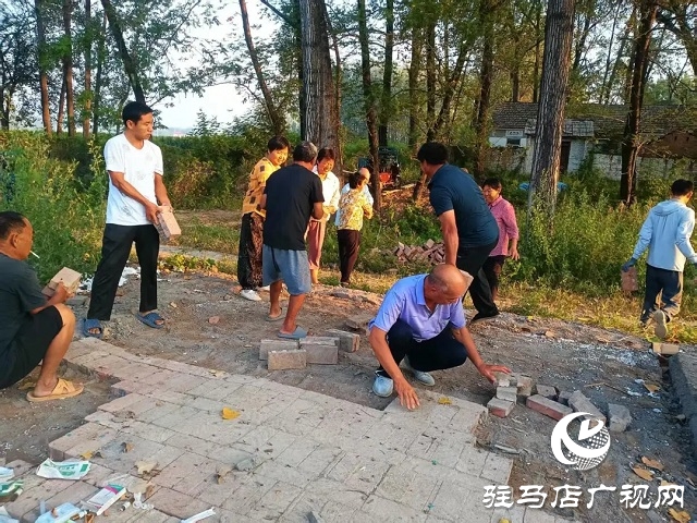新蔡縣韓集鎮：廢舊磚塊變身鋪路石 村民合力共建幸福路