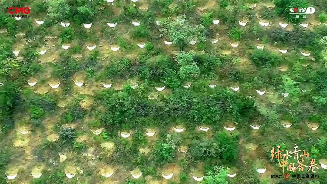 “工業城”與“生態市”的雙向奔赴：濟源產城融合的綠色答卷