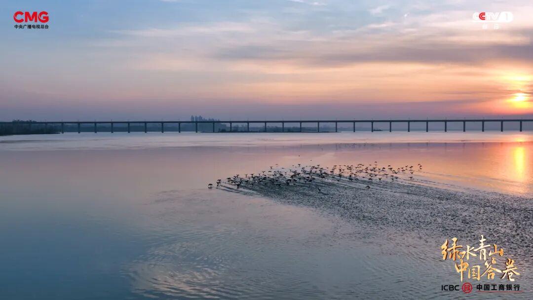 “工業城”與“生態市”的雙向奔赴：濟源產城融合的綠色答卷