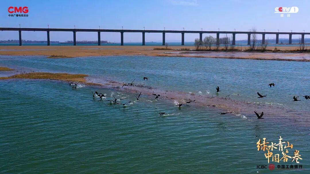 “工業城”與“生態市”的雙向奔赴：濟源產城融合的綠色答卷