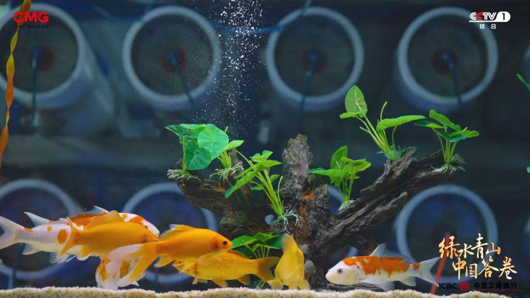 “工業城”與“生態市”的雙向奔赴：濟源產城融合的綠色答卷