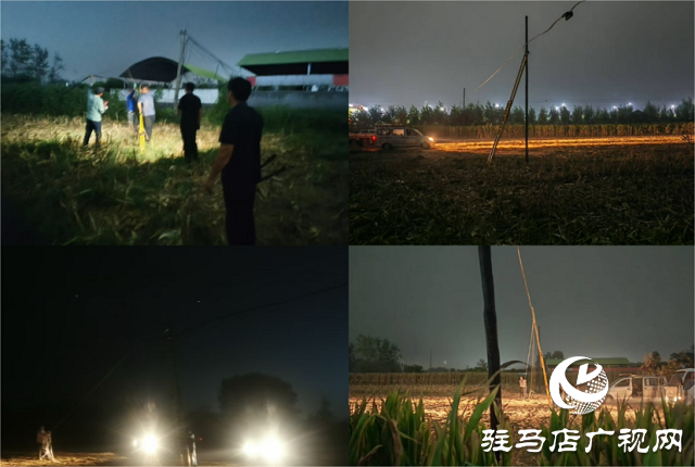 駐馬店聯通驛城區分公司連夜搶修倒斷通信桿 全力保障秋收期間網絡暢通
