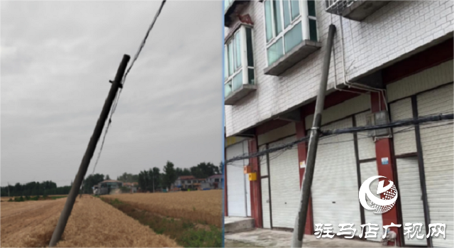 駐馬店聯通平輿縣分公司采用無人機+AI算法高效開展倒斷桿巡檢工作