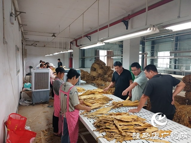 泌陽縣郭集鎮:多措并舉備戰煙葉收購工作